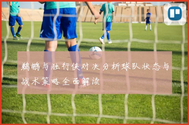 鹈鹕与独行侠对决分析球队状态与战术策略全面解读