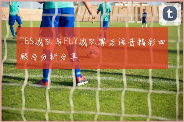 TES战队与FLY战队赛后语音精彩回顾与分析分享