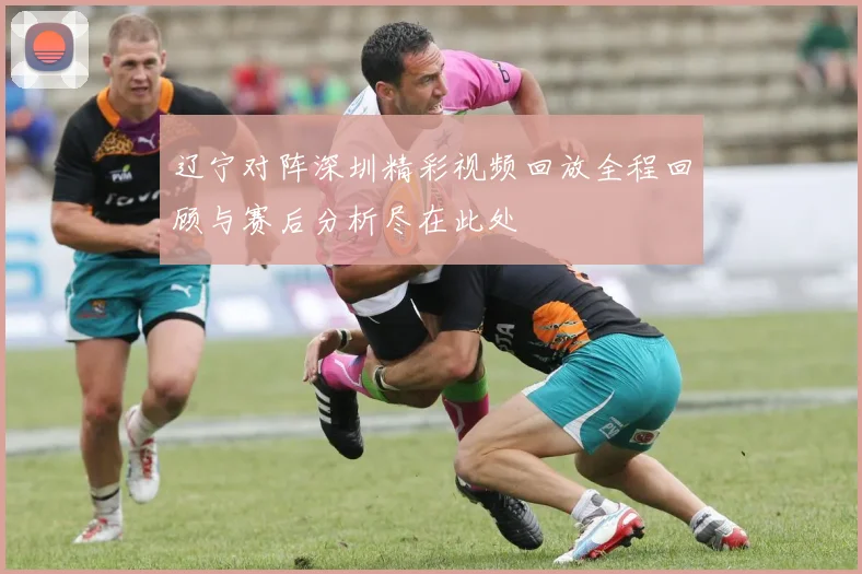 辽宁对阵深圳精彩视频回放全程回顾与赛后分析尽在此处
